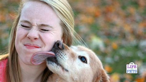 Dog licks womans wet cunt until the point when she comes